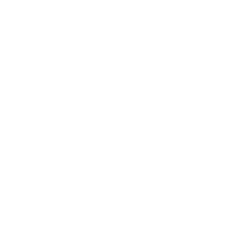 Official Selection - ZIFF 2026